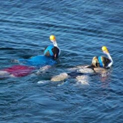 Gadgy Duikmasker Full Face Kinderen - Duikbril Met Snorkel - Snorkelset Kinderen - Snorkelmasker - Roze 20 Gadgy Duikmasker Full Face Kinderen - Duikbril Met Snorkel - Snorkelset Kinderen - Snorkelmasker - Roze -Watersporten Benodigdheden 1200x1200 57