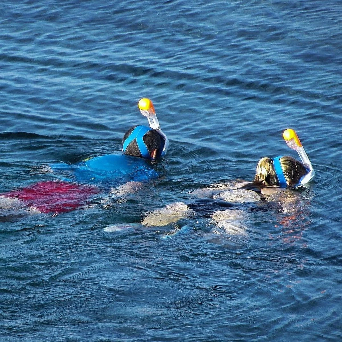 Gadgy Duikmasker Full Face Kinderen - Duikbril Met Snorkel - Snorkelset Kinderen - Snorkelmasker - Roze 11 Gadgy Duikmasker Full Face Kinderen - Duikbril Met Snorkel - Snorkelset Kinderen - Snorkelmasker - Roze - Afbeelding 9